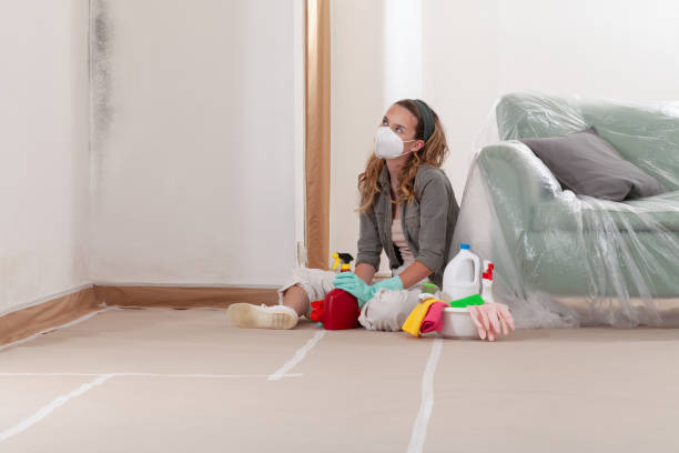 Reliable Mold Remediation contractor in Lumberton, NJ by 24 Hour Mold Removal
